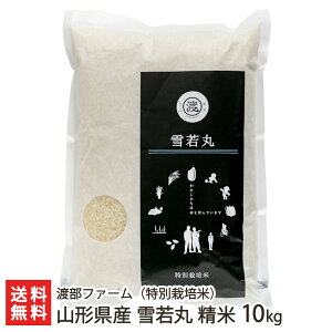 yߘa7NxVāzʍ͔|āi_Ew엿jR`Y   Iׂ 2kg 4kg 5kg 10kg nt@[ R`v 䂫킩܂ CX  嗱 `[n J[ st R`