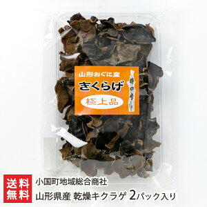 R`Y LNQ 2pbN n摍 Y 炰 LNQ ؎ 炰 ̂ LmR ̂̂܂  R`Y YҒ  Mtg v