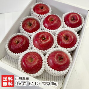 񂲁iӂjG 3kgi9`12ʁj R`_ ӂ S ь t[c t[cMtg Gi s R`Y YҒ  Mtg v[g 蕨 