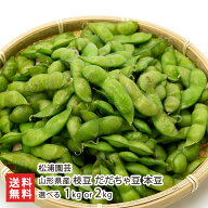 山形県産 だだちゃ豆 本豆 選べる 1kg or 2kg 松浦園芸 茶豆 枝豆 えだまめ エダマメ えだ豆 だだちゃま…