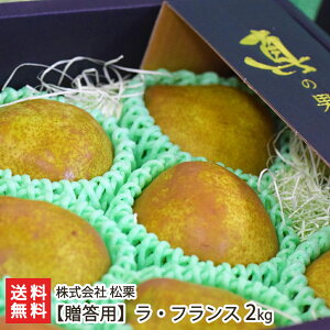 ypz R`Y EtX 2kg i6`9ʁj  I R`v tX m mȂ miV  t[c ʕ s R`Y YҒ  Mtg v[g 