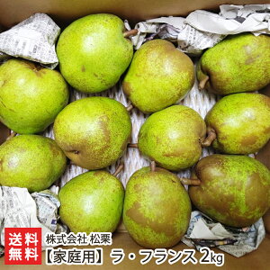 yƒpz R`Y EtX 2kg i6`12ʁj  I tX m mȂ miV  t[c ʕ s R`Y YҒ  Mtg v[g 蕨 