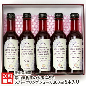 Rʎ̑ʂԂǂXp[NOW[X 200ml 5{ Rʎ R`Y Ԃǂ uhE W[X Y_ mAR[ Y_ zs R`Y YҒ  Mtg v