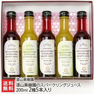 Rʎ̃Xp[NOW[X 200ml 25{iʂԂǂXp[NOW[X×3{ , EtXXp[NOW[X×2{j Rʎ YҒyR`v R`