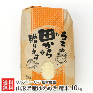 yߘa7NxVāzR`Y ͂ʂ  Iׂ 5kg 10kg Xg[A w_ R`   嗱 ቷn VsY R`Y YҒ  Mtg v[g 蕨 