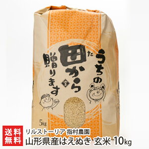 yߘa7NxVāzR`Y ͂ʂ  Iׂ 5kg 10kg 20kg Xg[A w_ R`   VsY R`Y YҒ  Mtg v[g 蕨 ϕs 