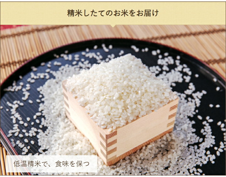 楽天市場】令和5年度米 自然栽培 有機JAS認証米 山形県産 ササニシキ  