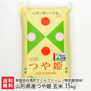 yߘa7NxVāzʍ͔|āi_Ew엿jR`Y P 15kgi5kg×3܁j LДnt@[ Yn yR`v Ђ CX cc 