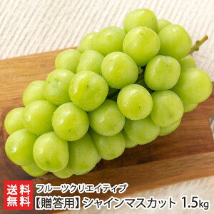 p R`Y VC}XJbg Iׂ 1kg ` 1.5kg t[cNGCeBu Ԃǂ uhE }XJbg Ȃ 嗱 ϔ ͖k R`Y YҒ  Mtg v[g 
