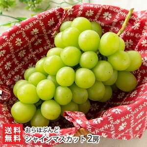 VC}XJbg 2[i1[600gj قԂǁyϕszyR`v t[c Ԃǂ uhE  햳 炲ƁzyMtg 蕨zyz