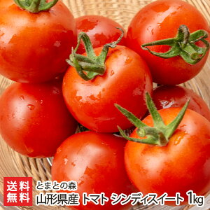 R`Y g}g VfBXC[g 1kg Ƃ܂Ƃ̐X t[cg}g ʃg}g ̂ g}g xg}g Ƃ܂ R`Y YҒ  Mtg v[g 蕨 