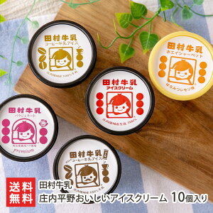 庄内平野おいしいアイスクリーム 10個入り(ミルクアイス,ホエイシャーベット,バラジェラート,コーヒー牛乳アイス,ほろにがコーヒー牛乳アイス 大人味 各2個) 田村牛乳 アイス シャーベッ