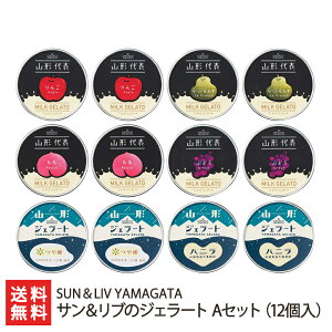 R`\ TũWF[g AZbgi12j SUNLIV YAMAGATA t[c WF[g ~N ACXN[ MtgZbg zs R`Y YҒ  Mtg v[g 