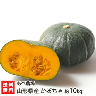 山形県産 完熟かぼちゃ 約10kg（4〜6玉）あべ農場 産地直送 送料無料【山形直送計画 南瓜 野菜 農産物 熟…