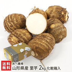 山形県産 里芋 2kg 化粧箱入り あべ農場 里いも さといも サトイモ ねっとり なめらか ほくほく 芋煮 芋煮会 煮物 ふかし芋 煮っころがし 真室川町 生産者直送 お取り寄せ ギフト プレゼント 贈り物 送料無料 お歳暮