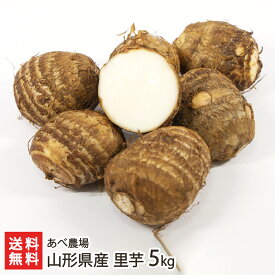 山形県産 里芋 5kg あべ農場 里いも さといも サトイモ ねっとり なめらか ほくほく 芋煮 芋煮会 煮物 ふかし芋 煮っころがし 真室川町 生産者直送 お取り寄せ ギフト プレゼント 贈り物 送料無料 お歳暮