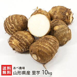 R`Y  10kg ה_  Ƃ TgC ˂Ƃ Ȃ߂炩 قق  ω ϕ ӂ ς낪 ^쒬 YҒ  Mtg v[g 蕨 