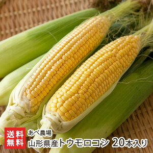 R`YgERV 10{ ` 20{ ה_  Ƃ낱 冋o gELr R[ ̂ R`Y ŏS^쒬 R` YҒ  Mtg v[g 蕨 