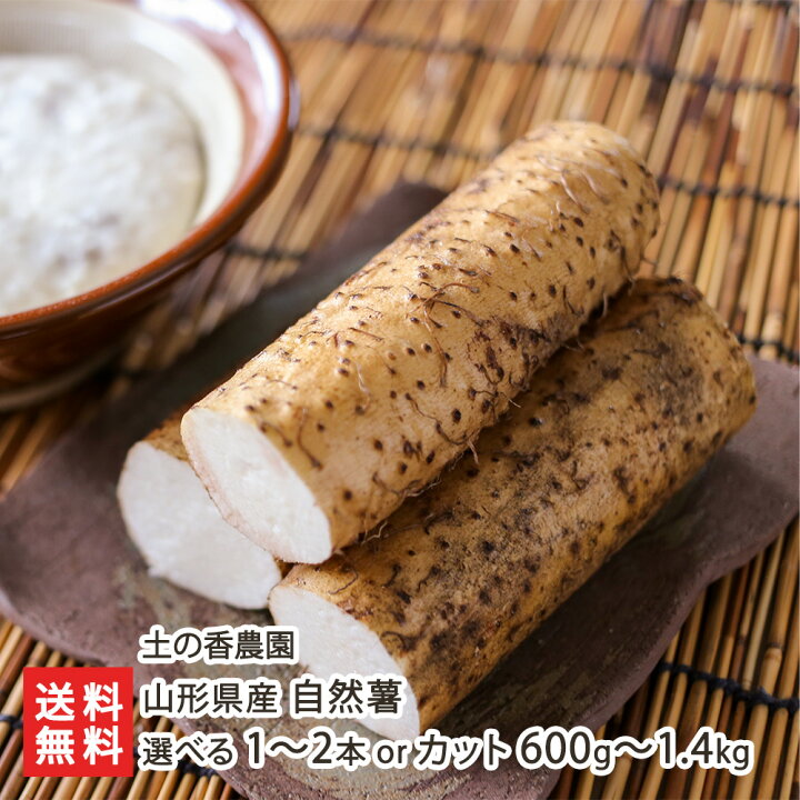 楽天市場】山形県産 自然薯 選べる 1〜2本 or カット 600g〜1.4kg 土の 