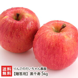 ypzu3kgvoru5kgv񂲂̂_yR`v t[c  ь Szyv[g Mtg 蕨zyz