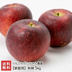 yƒpzHf Iׂ 3kg (12) or 5kg (20) 񂲂̂_ ʕ t[c t[cMtg S ܍͔| ܂  R`Y YҒ  