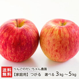 【家庭用】つがる「3kg」or「5kg」 りんごのだいちゃん農園【山形直送計画/フルーツ/りんご/林檎/リンゴ】【お土産/手土産/プレゼント/ギフトに！贈り物】【送料無料】お歳暮ギフトにも！