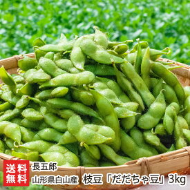 山形県 白山産 枝豆「だだちゃ豆」3kg（500g×6袋）長五郎【代金引換決済不可】【山形直送計画/鶴岡市/白山地区/減農薬栽培/エコファーマー/茶豆/えだまめ/エダマメ/えだ豆/だだちゃまめ/おつまみ】【お土産/手土産/プレゼント/ギフトに！贈り物】【送料無料】