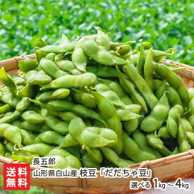 山形県 白山産 枝豆「だだちゃ豆」 選べる 1kg 〜 4kg 長五郎 山形直送計画 鶴岡市 白山地区 減農薬栽培 エコファーマー 茶豆 えだまめ エダマメ えだ豆 だだちゃまめ おつまみ 生産者直送 お取り寄せ ギフト プレゼント 贈り物 代金引換決済不可 送料無料