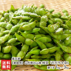 【家庭用】山形県 白山産 枝豆「だだちゃ豆」 選べる 1kg 〜 3kg 長五郎 山形直送計画 鶴岡市 白山地区 減農薬栽培 エコファーマー 茶豆 えだまめ エダマメ えだ豆 だだちゃまめ おつまみ 生産者直送 お取り寄せ ギフト プレゼント 贈り物 代金引換決済不可 送料無料