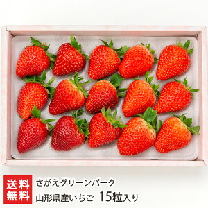 R`Y  15 O[p[N  ƂƂ 悢Ђ  ڂ ͕P gق Cx[ GWFGCg ͍]s R`Y YҒ  Mtg v