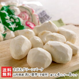 山形県産 洗い里芋（子姫芋）選べる 4パック入 〜 8パック入 さがえグリーンパーク 山形産 山形直送計画 里いも さといも サトイモ 芋煮 こひめいも コヒメイモ 山形県 生産者直送 お取り寄せ ギフト プレゼント 贈り物 代金引換決済不可 送料無料 お歳暮