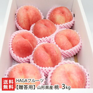 �y�����p�z�R�`���Y �� �I�ׂ� 2kg �` 3kg HAGA�t���[�c �R�`�Y �R�`�����v�� �t���[�c ���� �s�[�` �R�` �~�n ���͍]�s�R�`�� ���Y�Ғ��� ������ �M�t�g �v���[���g ���蕨 �������� ���Ε�