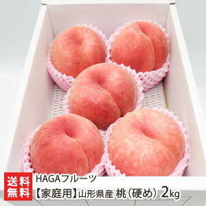 �y�ƒ�p�z�R�`���Y ���i �d�� �j2kg HAGA�t���[�c �R�`�Y �R�`�����v�� �t���[�c ���� �s�[�` �R�` �~�n ���͍]�s �R�`�� ���Y�Ғ��� ������ �������� ���Ε�