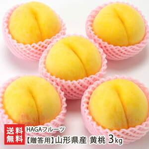 �y�����p�z�R�`���Y ���� �I�ׂ� 2kg�i5�`9�ʁj �` 3kg�i7�`13�ʁj HAGA�t���[�c �t���[�c �ʕ� �t���[�c�M�t�g ���� ���� �����Ƃ� �I�E�g�E ���͍]�s �R�`�� ���Y�Ғ��� ������ �M�t�g �v��