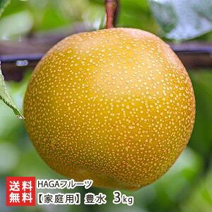 �y�ƒ�p�z�L�� 3kg�i6�`9�ʁj HAGA�t���[�c �t���[�c �ʕ� �Ȃ� �� �a�� �ق����� �L���� ���͍]�s �R�`�� ���Y�Ғ��� ������ �������� ���Ε�
