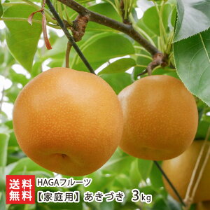 �y�ƒ�p�z�����Â� 3kg�i5�`8�ʁj HAGA�t���[�c �t���[�c �ʕ� �Ȃ� �� �a�� �����Â��� ���͍]�s �R�`�� ���Y�Ғ��� ������ �������� ���Ε�