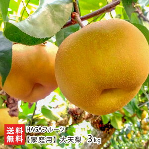 �y�ƒ�p�z��V�� 3kg�i5�`7�ʁj HAGA�t���[�c �t���[�c �ʕ� �Ȃ� �� �a�� �����Ă�� ���͍]�s �R�`�� ���Y�Ғ��� ������ �������� ���Ε�