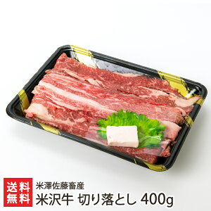 đ ؂藎Ƃ 400g V{YyR`v uh  јa unzyv[g Mtg 蕨zyz