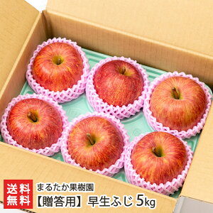p R`Y  ӂ 2`5kg ܂邽ʎ S ь t[c L@엿 t[cMtg s R`Y YҒ  Mtg v[g 蕨 