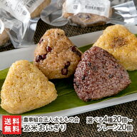 山形県産 玄米おにぎり 4種 20個入り or プレーン 20個入り 農事組合法人 太ももの会 もち米 玄米 冷凍お…