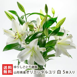 R`Y IG^ i  E sN j Iׂ 3{ or 5{ 肵ƐΉ   S ؂ ؉ j  R` R` YҒ  Mtg v[g