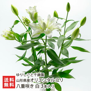 R`Y IG^ d炫 Iׂ  3{ ` sN 3{ 肵ƐΉ   S ؂ ؉ j  R` R` YҒ  Mtg v[