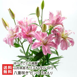 R`Y IG^ d炫 Iׂ  3{ ` sN 3{ 肵ƐΉ   S ؂ ؉ j  R` R` YҒ  Mtg v[