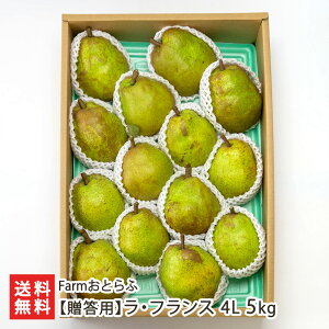 ypzEtX 4L Iׂ 2kg ` 5kg FarmƂ R`v t[c m mȂ miV  R` R` YҒ  Mtg v[g 蕨 ϕs 