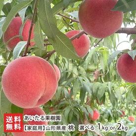 【家庭用】山形県産 桃 選べる1kg（6玉） or 2kg（9〜10玉） あいたる果樹園 フルーツ 果物 もも モモ 白桃 ピーチ 東根市 山形県 生産者直送 お取り寄せ 代金引換決済不可 送料無料