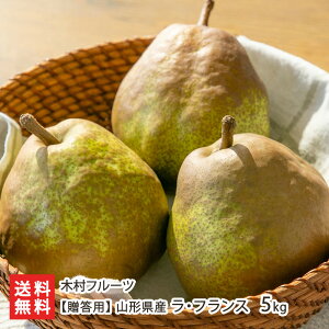 �y�����p�z�R�`���Y ���E�t�����X 2kg�i4�`7�ʁj �` 5kg (12�`18��) �ؑ��t���[�c ���t�����X ��E�ӂ�� �m�� �t���[�c �� �i�V �m�� �m�Ȃ� �m�i�V �R�`�� ���Y�Ғ��� ������ �M�t�g �v��