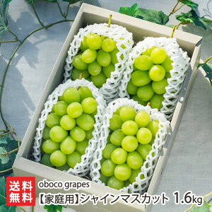 yƒpzVC}XJbg 1.6kgi3`5[j oboco grapes Ⴂ܂ Ԃǂ uhE  ÂĔZ J悯핢͔| ϔ I{RO[vX  R` YҒ  