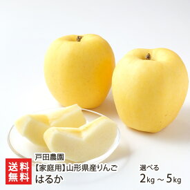 【家庭用】山形県産 りんご はるか 選べる 2kg（5〜8玉）〜 5kg（14〜18玉）※玉数の指定はお受けできません 戸田農園 フルーツ リンゴ 林檎 ハルカ 南陽市 山形県 生産者直送 お取り寄せ 代金引換決済不可 送料無料