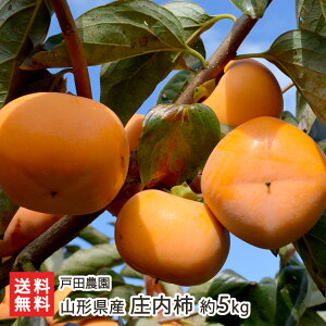 R`Y ` 2.5kgi11`15ʁj ` 5kgi24`30ʁjʐ̎w͂󂯂ł܂ ˓c_ t[c  JL 傤Ȃ VEiCKL zs R` YҒ  M