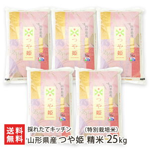 yߘa7NxVāzʍ͔|āi_Ew엿jR`YP  Iׂ 5kg 10kg 15kg 20kg 25kg ̂ꂽăLb`  CX  Ђ cq Vs R`Y YҒ 